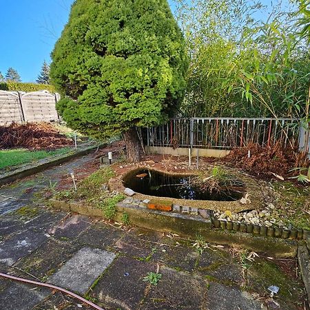 Haus Mit Garten Halle  Eksteriør bilde